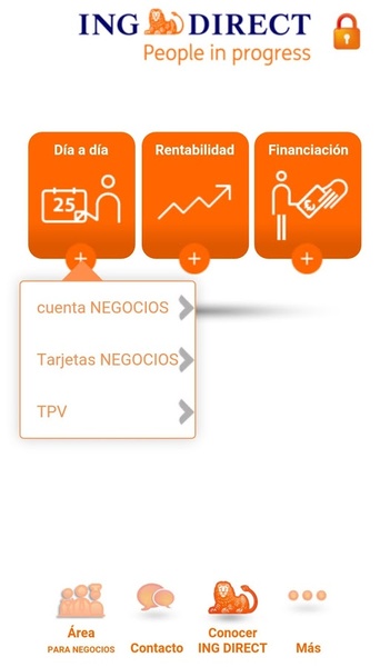 ING Direct - Preview 2