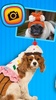 Funny Dog Costumes screenshot 1