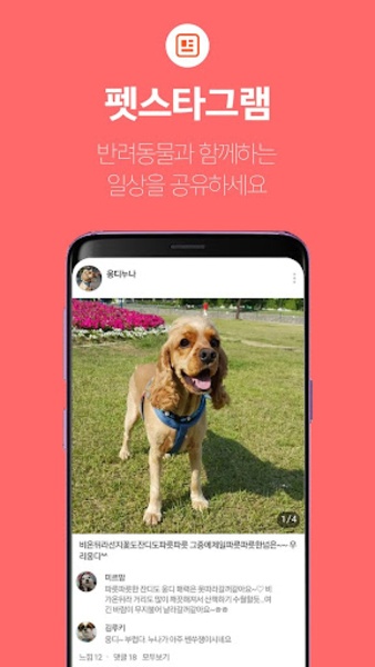 Hola Pet - Preview 4