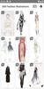 300 Fashion Illustrations screenshot 5