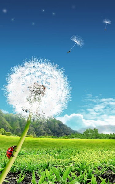 Dandelion Live Wallpaper - Preview 8