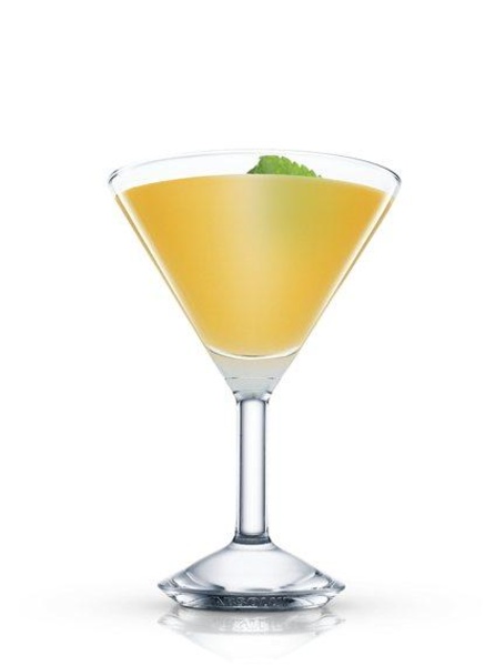 Recetas de Cocteles - Preview 2