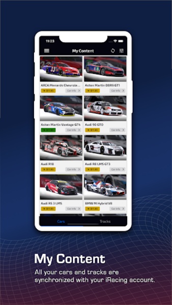 iRacing Companion - Preview 9