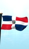 डॉमिनिक गणराज्य झंडा 3 डी मुक्त screenshot 11