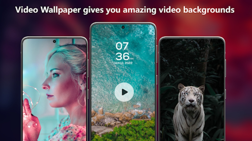 Video wallpaper Set Video for Android - Download