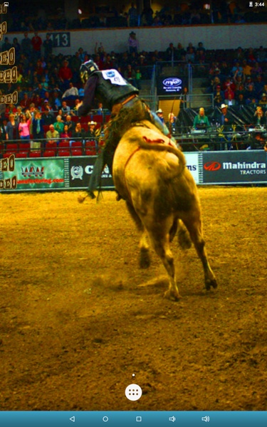 Bull Rodeo Live Wallpaper - Preview 5