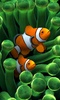 Sim Aquarium screenshot 3