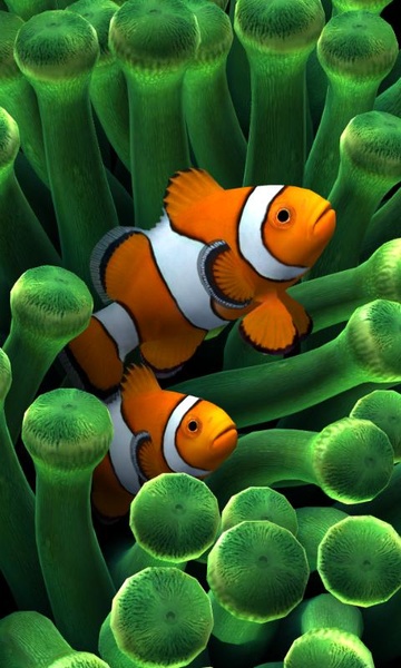 Sim Aquarium - Preview 3