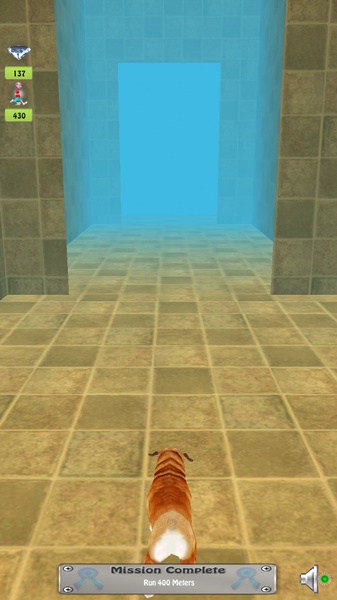 Temple Dog Run - Preview 4