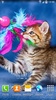 Katzen Live Wallpaper screenshot 13