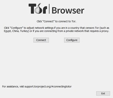 Tor Browser screenshot 9