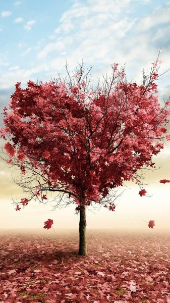Love Tree Live Wallpaper - Preview 7