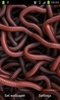 Can of Worms screenshot 5