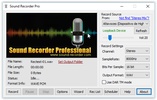 Sound Recorder Professional screenshot 2