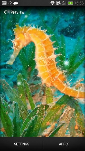Sea Animals Live Wallpaper - Preview 7