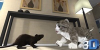Real Cat Simulator screenshot 5