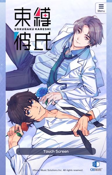Bondage boyfriend - Preview 1