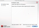 Adobe Flash Player screenshot 2