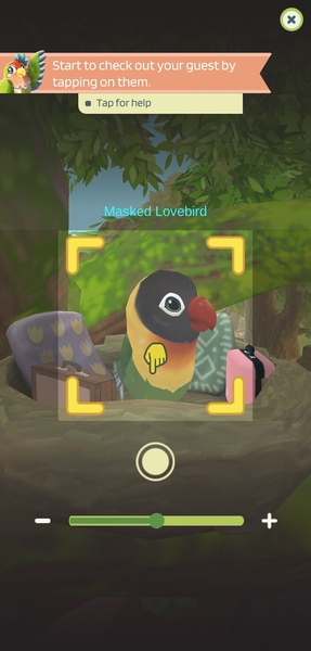 Bird bnb - Preview 7