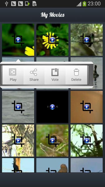 Crop Video - Preview 1