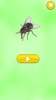 Insect Sounds screenshot 16