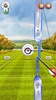 ARCHERY WORLD TOUR screenshot 3