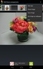 1000 flower arrangements screenshot 1