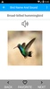 Bird Name And Sound screenshot 2