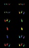 Christmas tree decoration screenshot 6