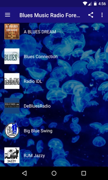 Blues Music Radio Forever - Preview 3