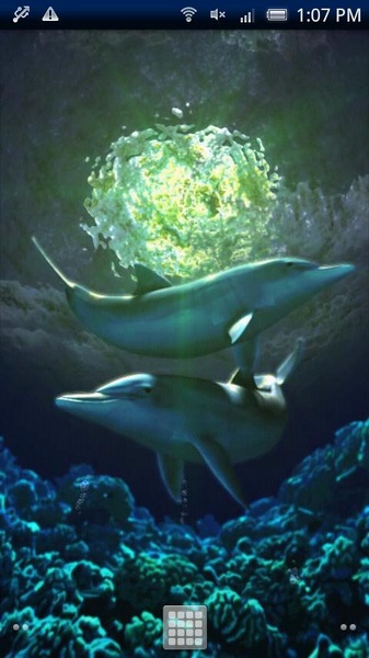 Dolphin Moonlight Trial - Preview 3