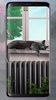 Cute Lazy Cat Live Wallpaper screenshot 5