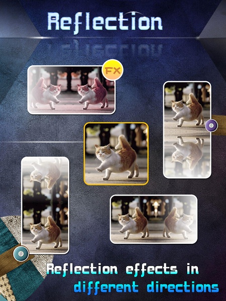 Reflection - Preview 4