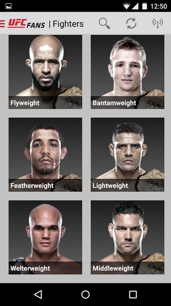 UFC Fans - Preview 6