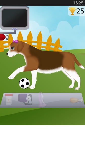 Dog Pregnancy - Preview 2
