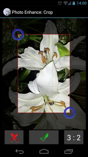Photo Enhance - Preview 5