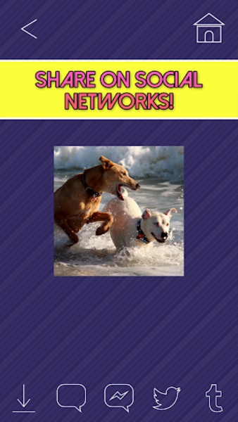 Gif Maker from Picture - Preview 3