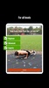 DIE RINGE Calisthenics Workout screenshot 14