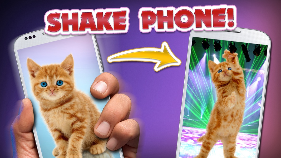 Purring Cats - Preview 4