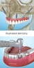 Dental 3D Illustrations screenshot 18