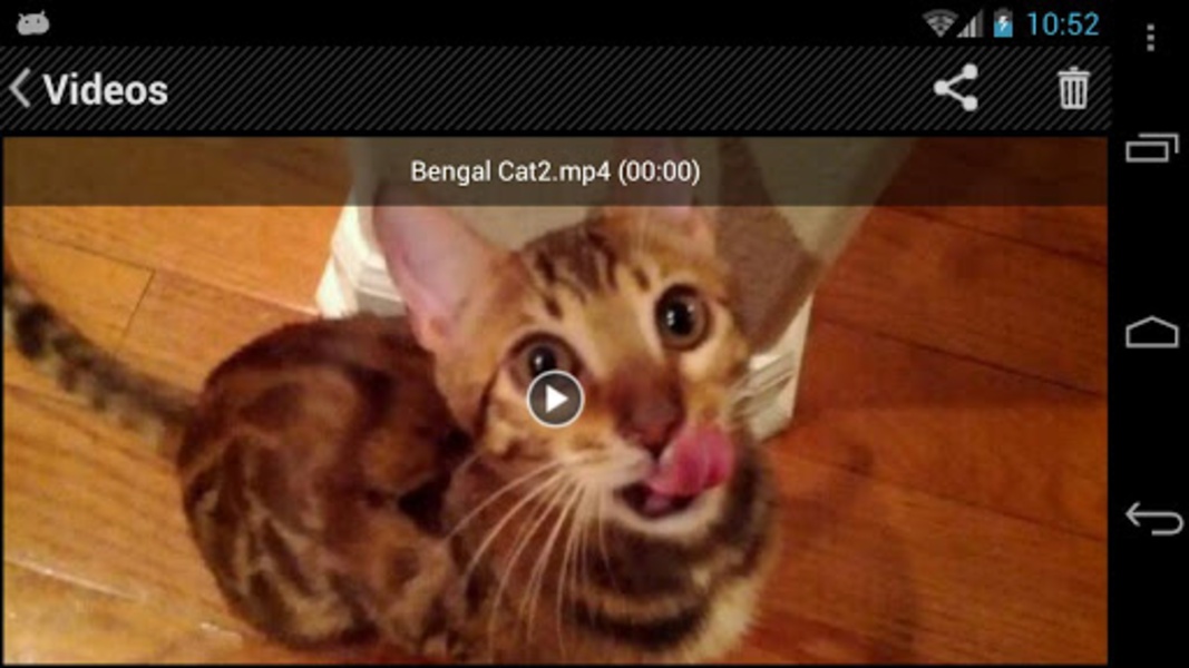 Videos - Preview 4