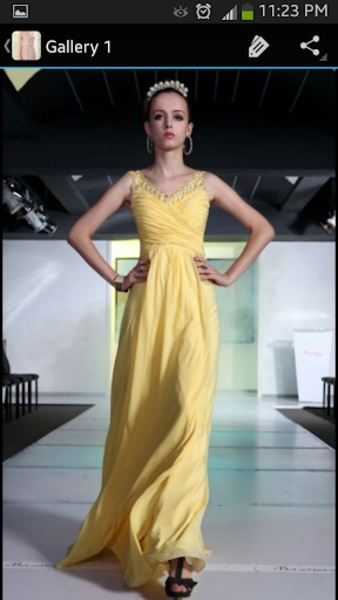 Evening Dresses - Preview 4