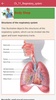 Anatomy & Physiology MIE NCLEX screenshot 21