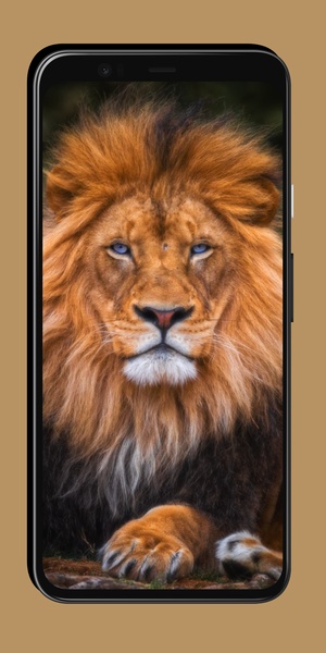 Lion Wallpaper - Preview 4