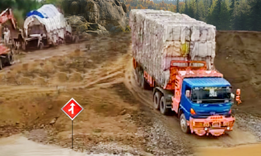 Heavy Cargo Truck - Preview 5