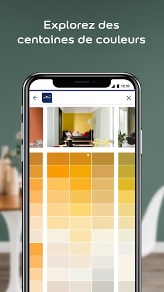 Dulux Valentine - Preview 4