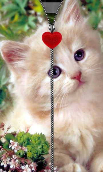 Kitten Zipper Screen Lock - Preview 7