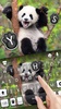 Happy Cute Panda screenshot 4