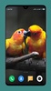 Parrot Wallpapers 4K screenshot 15