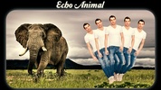 Echo Animal Effect : best echo mirror with animal screenshot 8